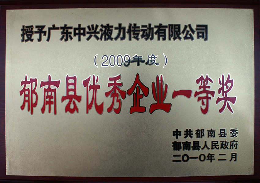2009年度郁南县优秀企业一等奖